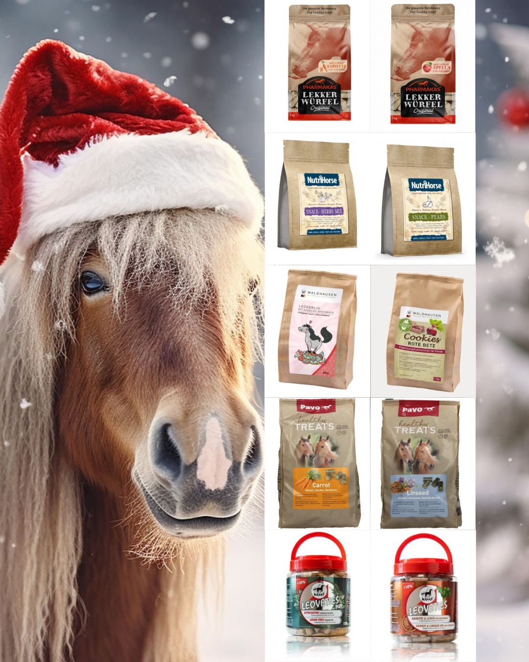 Mikuláš pre kone (2)